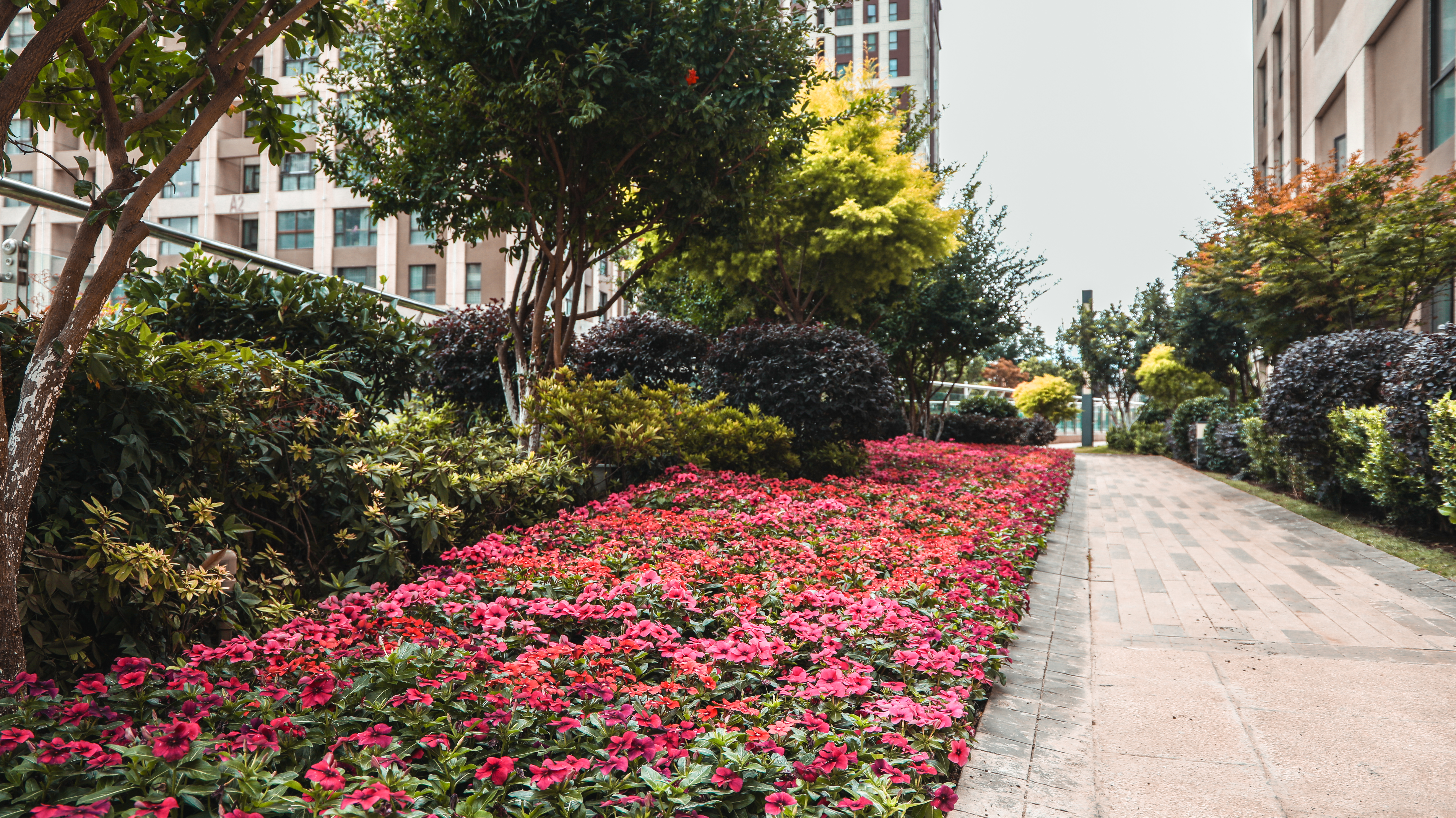 在大理下关生活是什么感觉,大理下关的生活