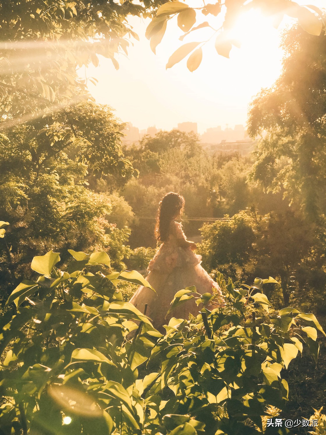 iphone怎么拍最高清的照片,怎样用iphone拍出好看的照片视频