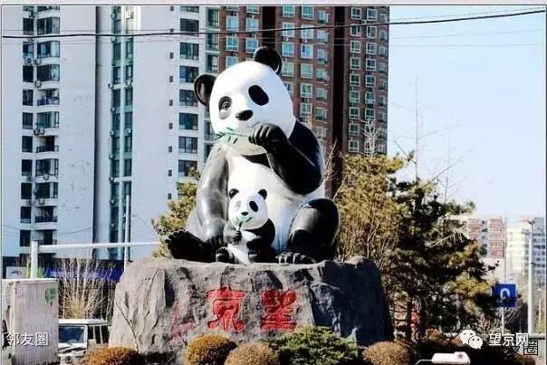 住在望京附近什么体验,家住望京