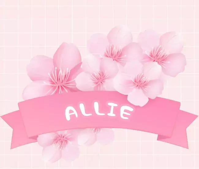 粉粉粉粉粉粉出屏幕的樱花限定来啦，看过就算买过！