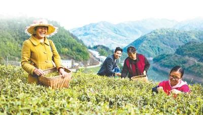 中国专家今年气候预测,气候预测准吗