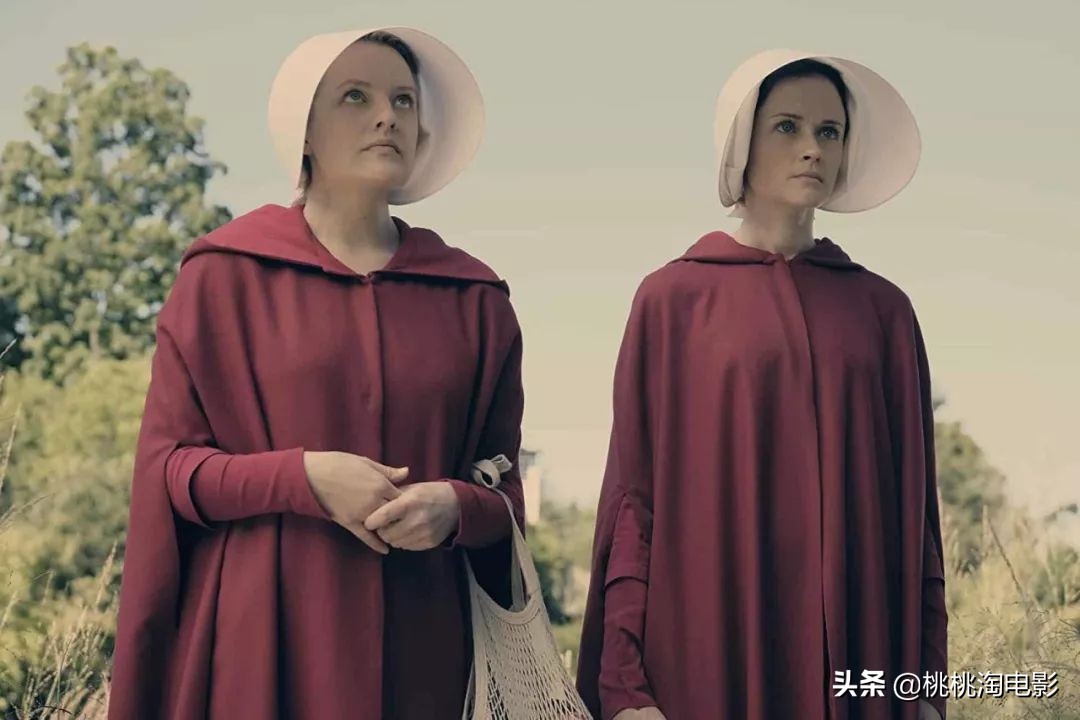 这十年来称霸电视圈的，除了它，还能有谁