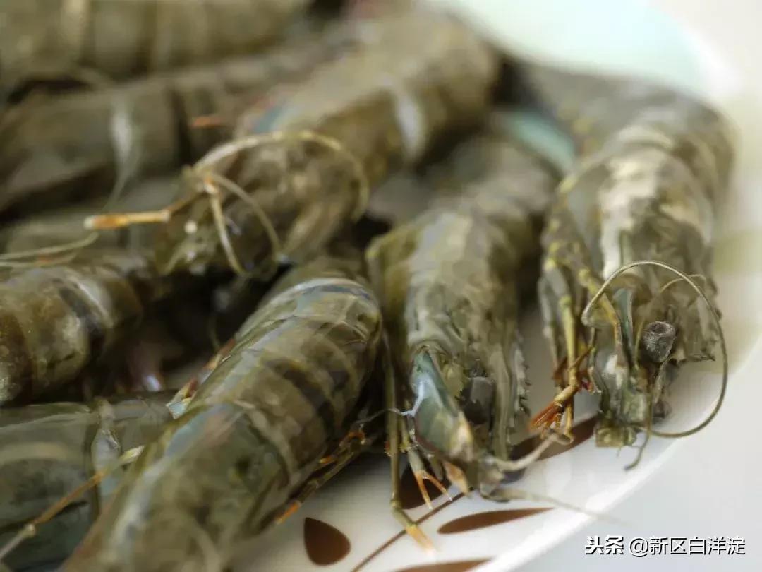 白洋淀纪事真实故事,真实的白洋淀传说