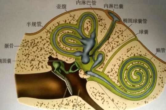 警惕“床上事件”，莫让悲剧发生！