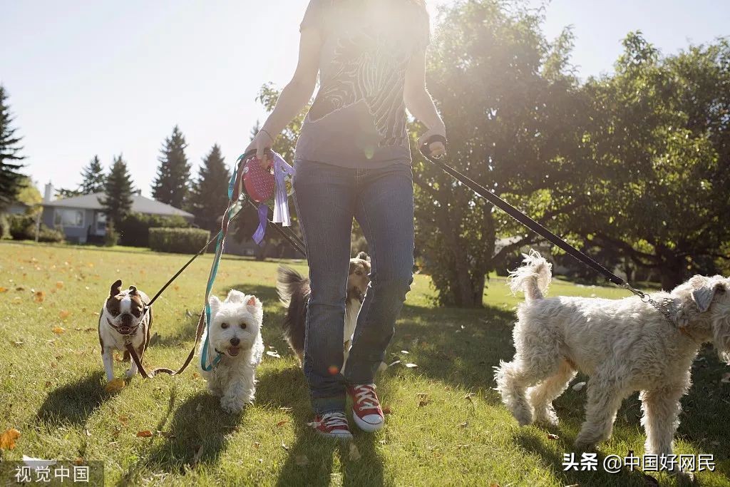 我有一份鸡排,你能帮我“代吃”一下吗?