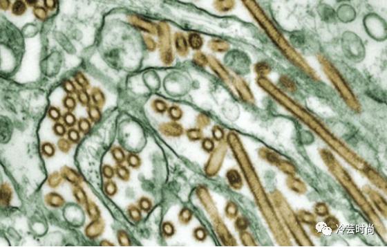 抗菌抑菌面料的知识卖点,抗菌抗病毒与健康结合的介绍