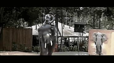 明星撞衫后的惨烈对比,明星撞衫的那些事