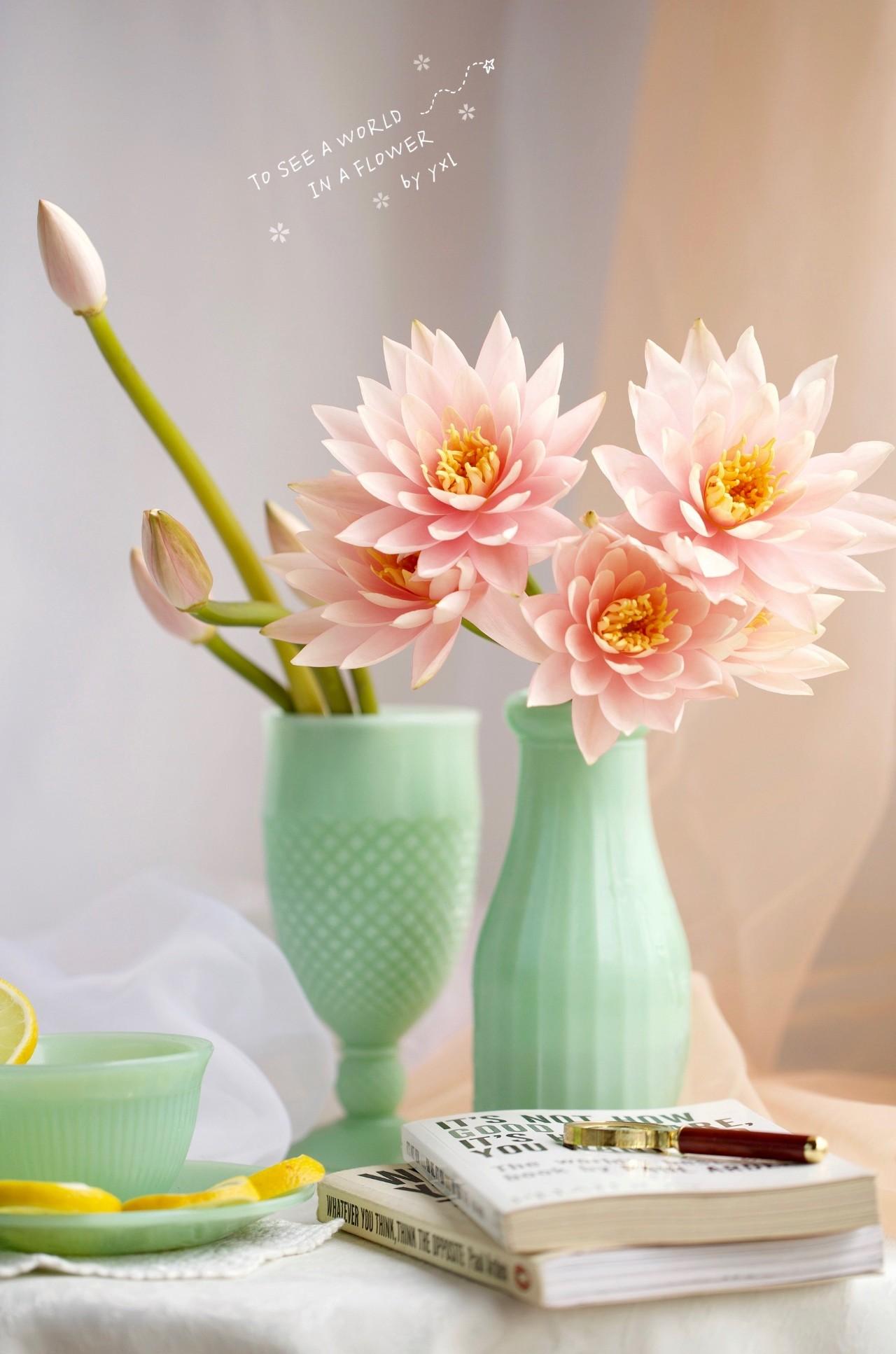 门客生活处理结果,门客生活倒闭怎么维权