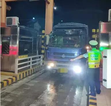 桂林一晚查获38只醉猫”，这种行为等于谋杀！