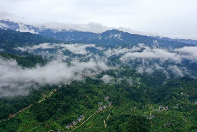 湖南女人追到东莞，找到湖北男人，老杨和李心怡能走到一起吗