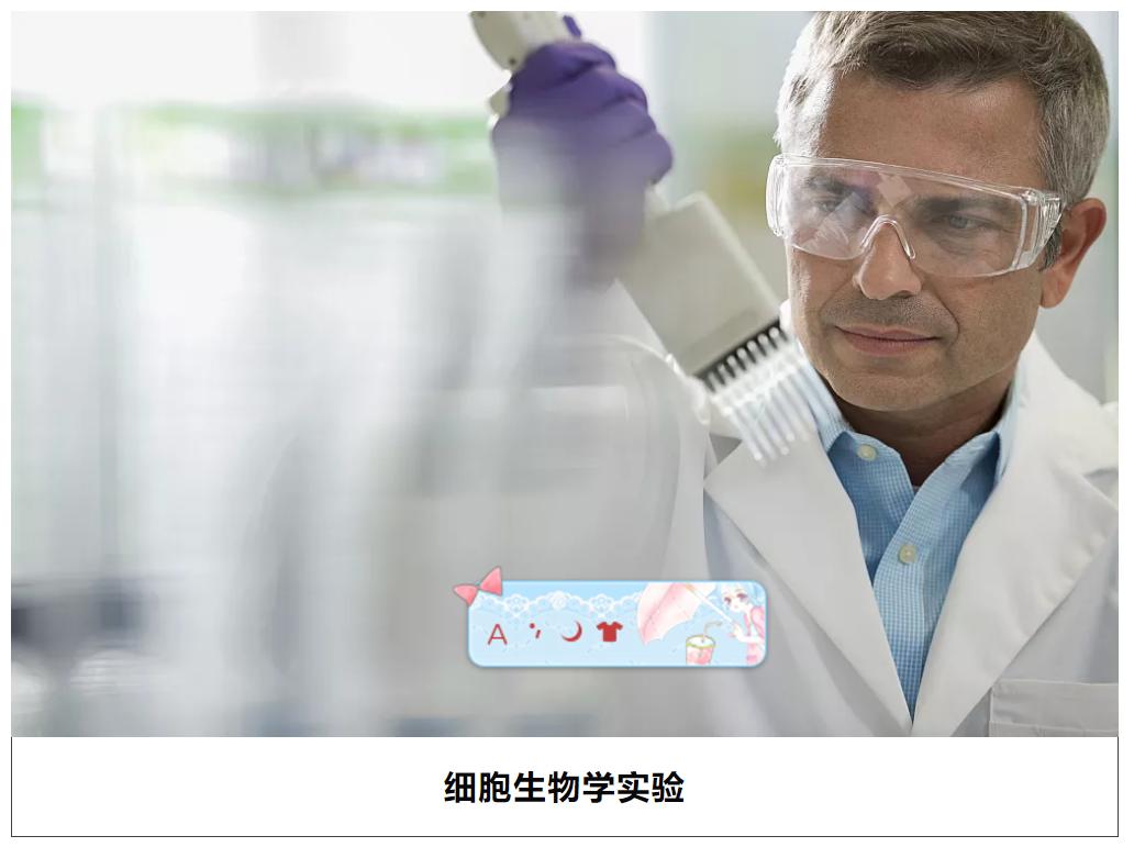 细胞生物学实验报告,细胞生物学实验书籍
