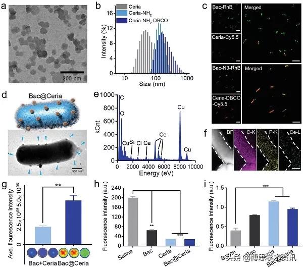 减轻重金属中毒,重金属中毒的斑怎么治疗