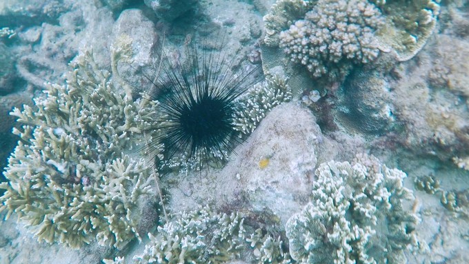 冲浪旅游地,海南万宁必去打卡