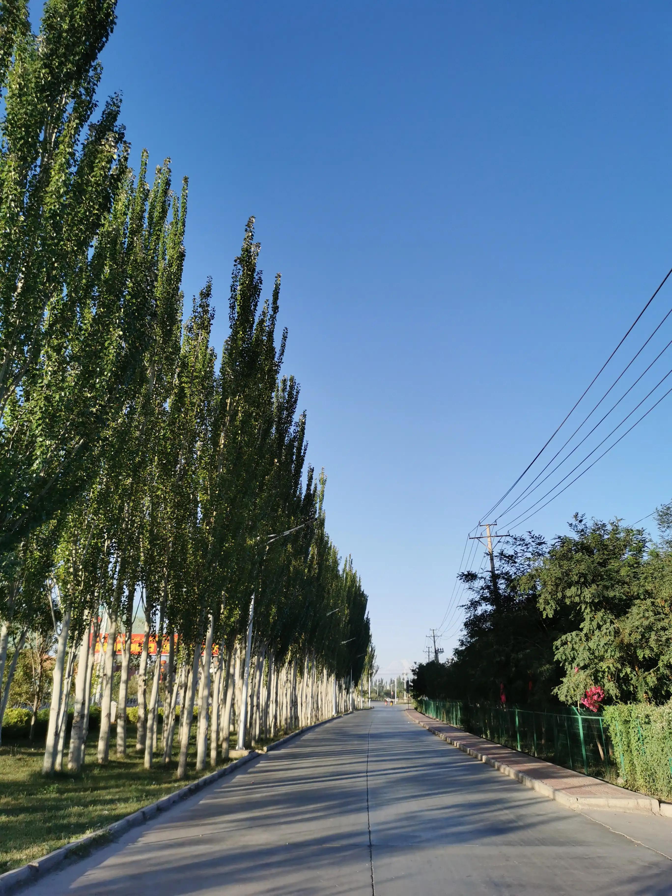 散文丨劳罕：最是*疆新**看不够