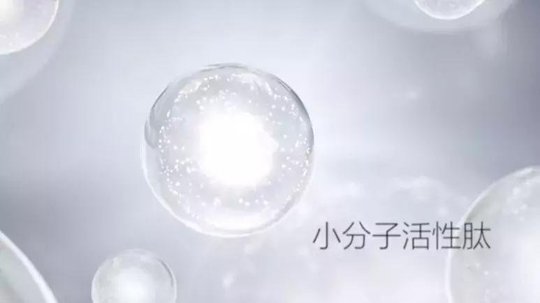 你爸终究是你爸下一句,你爸终究是你爸什么意思