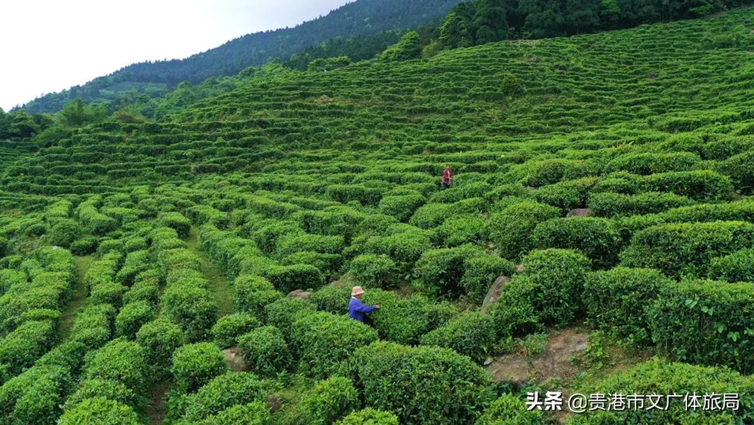 贵港爬山推荐景点,贵港爬山推荐景点有哪些
