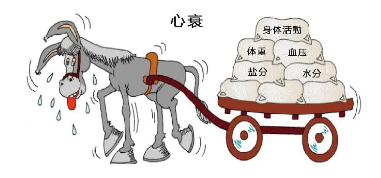 心衰的中医治疗方法有什么,心衰怎样能好