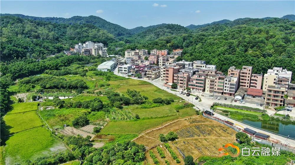 安徽太和发展前景,未来广阔的发展前景