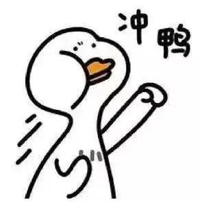 关于车管所的服务点,车管所服务窗口各类业务有哪些