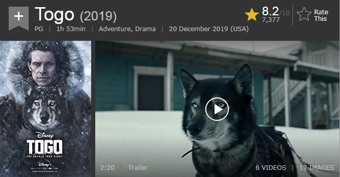 可怕的恶犬电影,伤害小狗电影