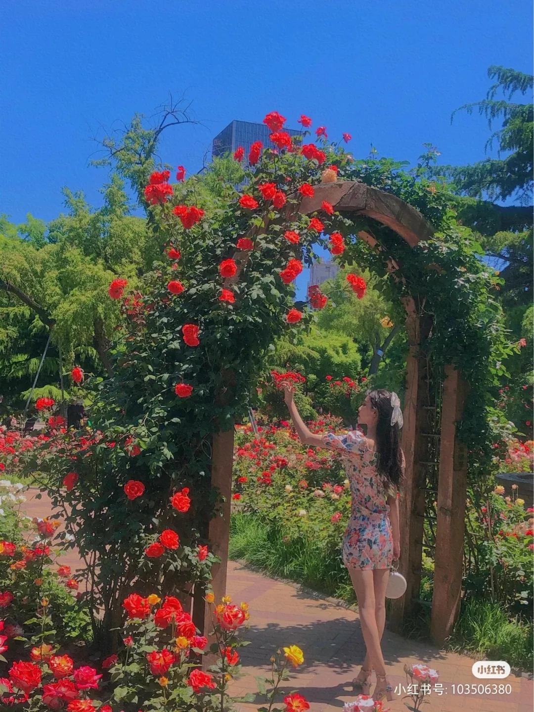 私藏拍照最好的地方,天津适合拍照又安静的地方