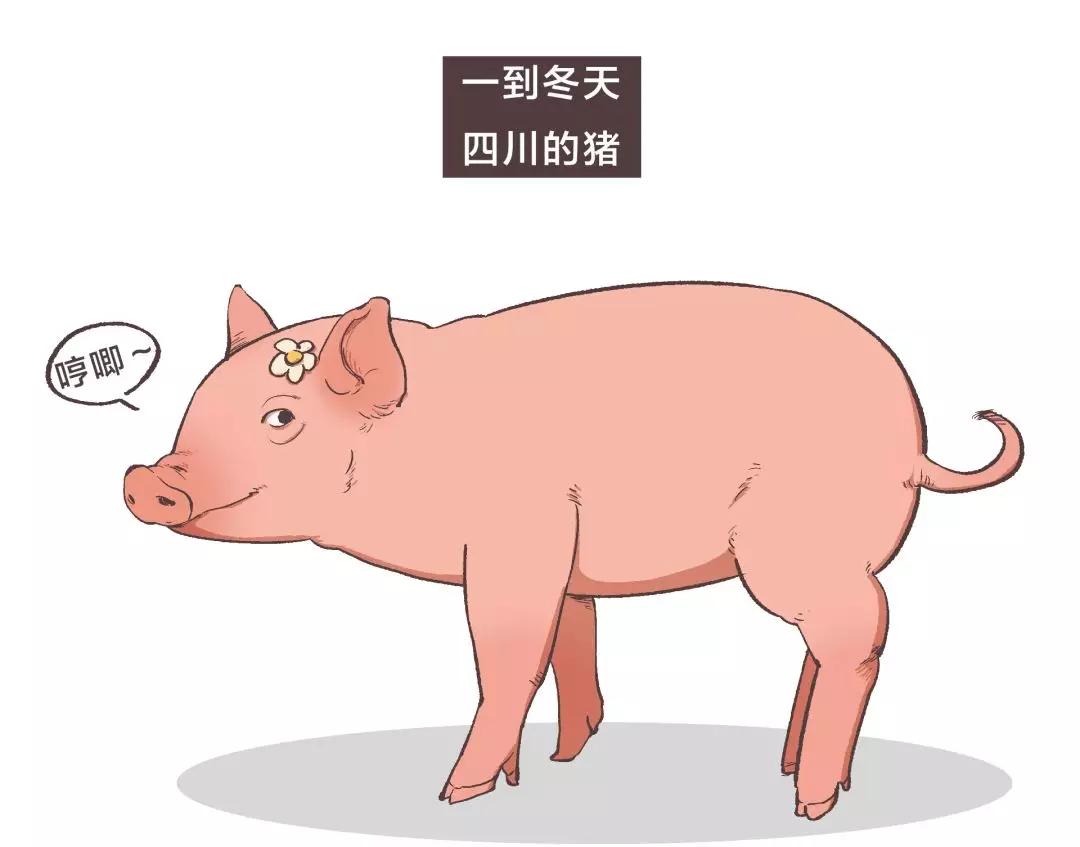 漫画四川,食物漫画香肠