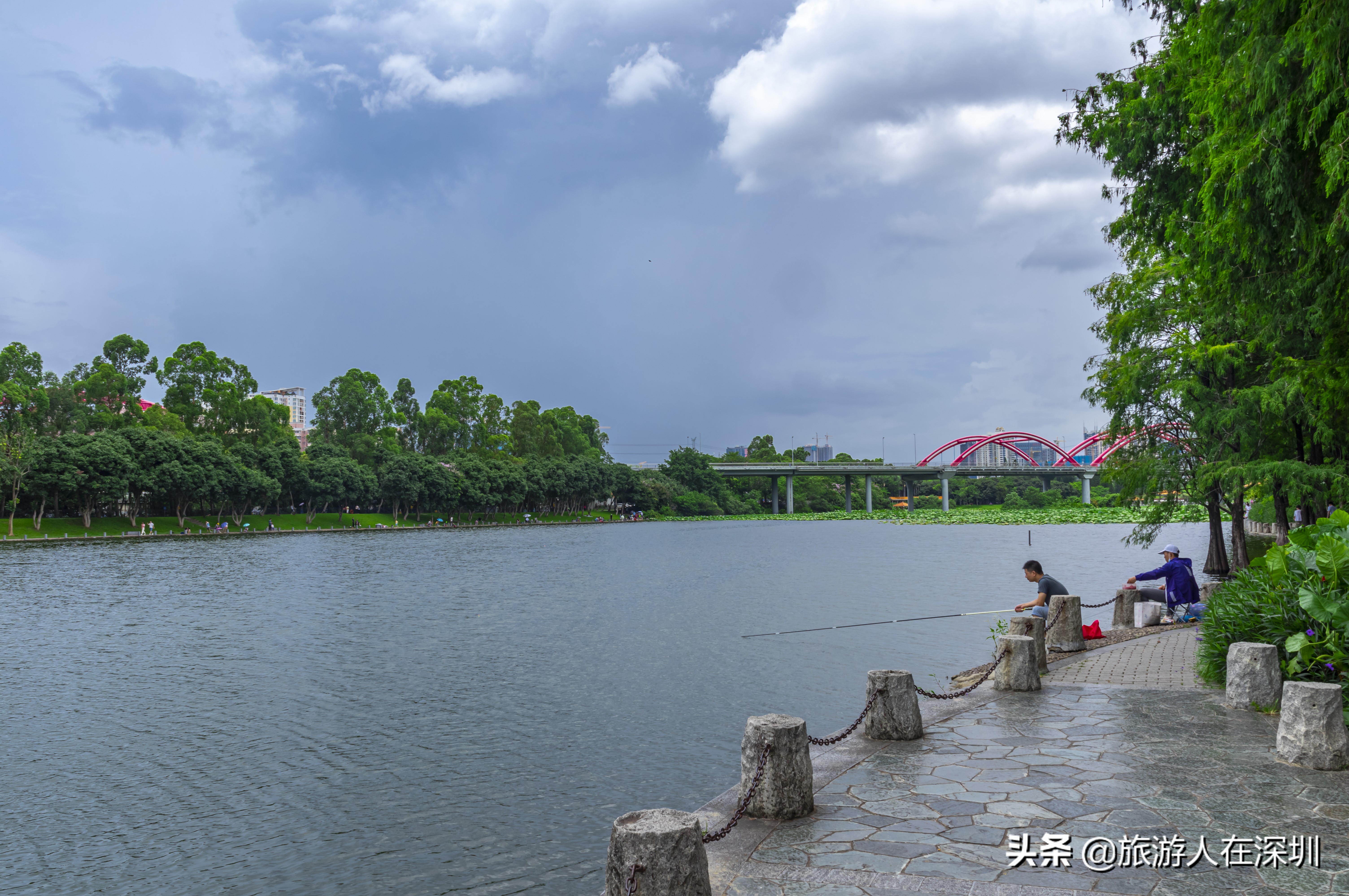 洪湖公园深圳免费景区,深圳市洪湖公园开放