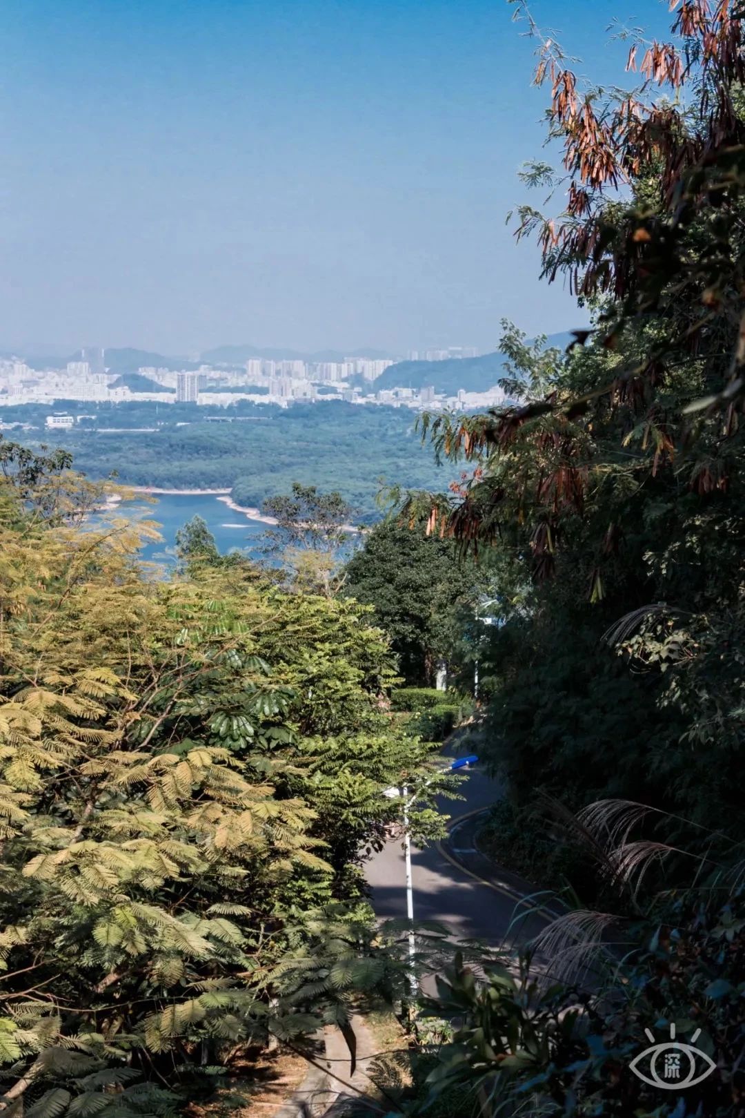 放假在深圳能去哪里玩,放假了可以去深圳的哪些地方玩