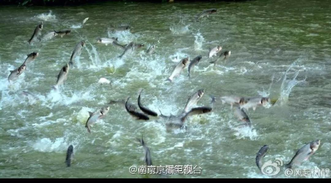 农村创业失败的生意怎么做,在农村十万元怎样创业最稳定