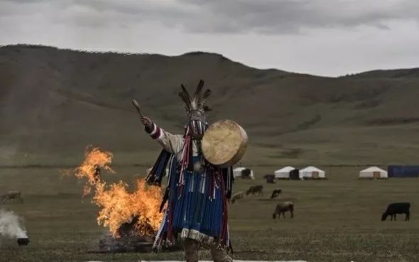 战功赫赫的马,驰骋草原的马,都是蒙古人的浪漫