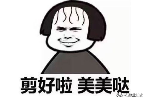 留学生在国外很难受,在国外留学剪头发