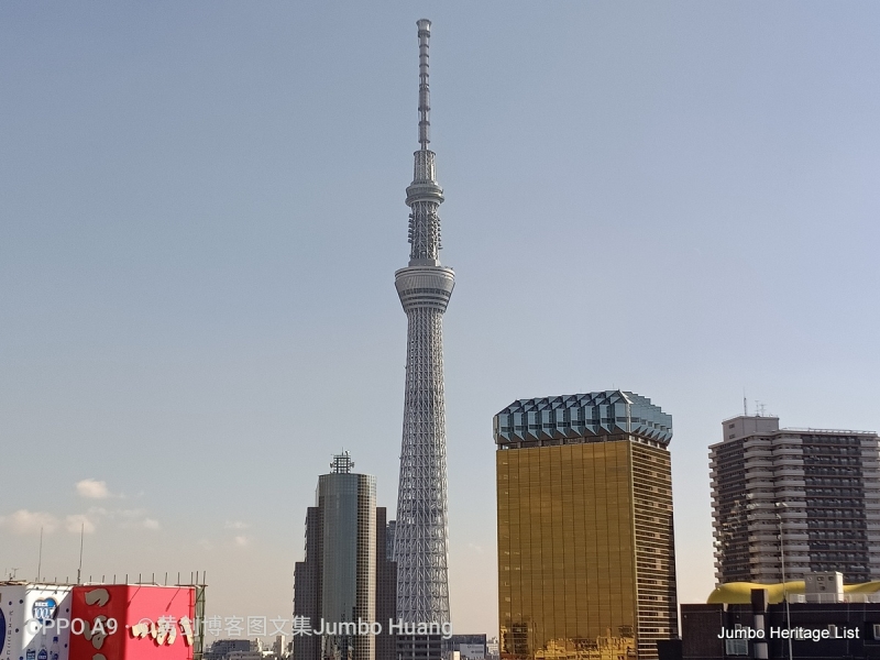 第1011回：世界第一高晴空塔，明治神宫安座百年