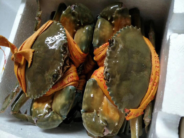 为什么一定要吃活蟹,鲜活的蟹为什么不能吃