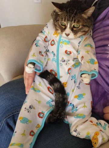 让你笑得前仰后合的搞笑图片,笑对工作的搞笑图片