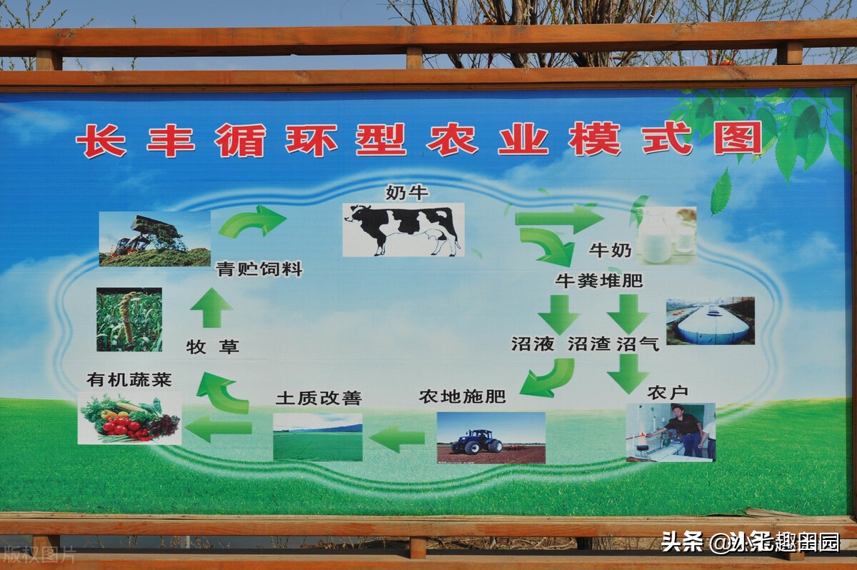 生态农业的优势及前景,生态农业发展存在的问题