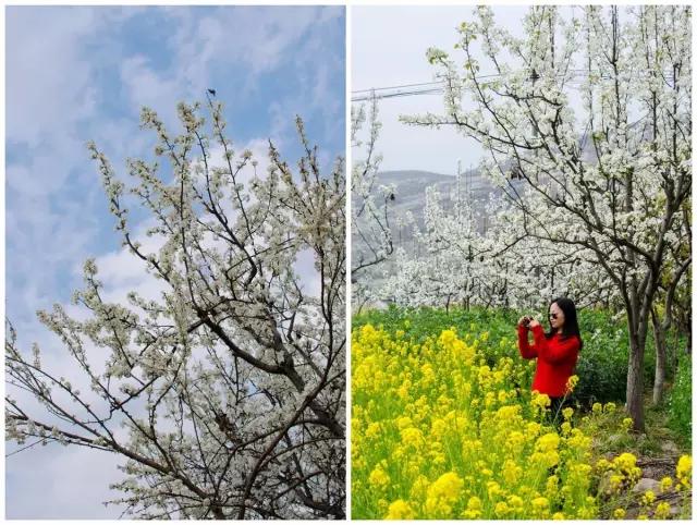 雅安旅行攻略亲子游,雅安市旅行攻略自由行路线