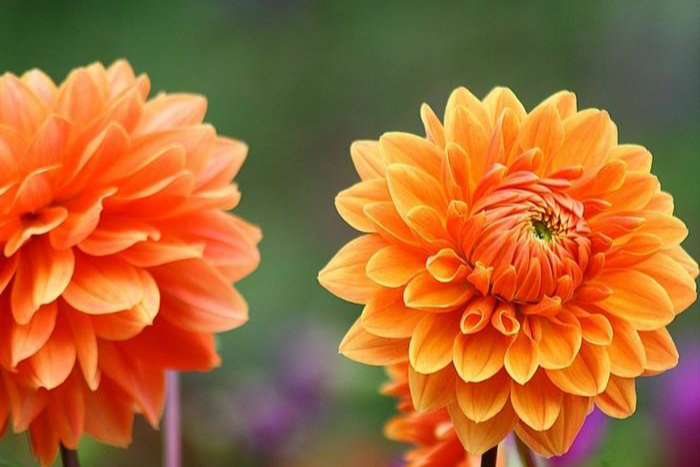 无法看清自己的人最可悲,看清一个人的十种方法