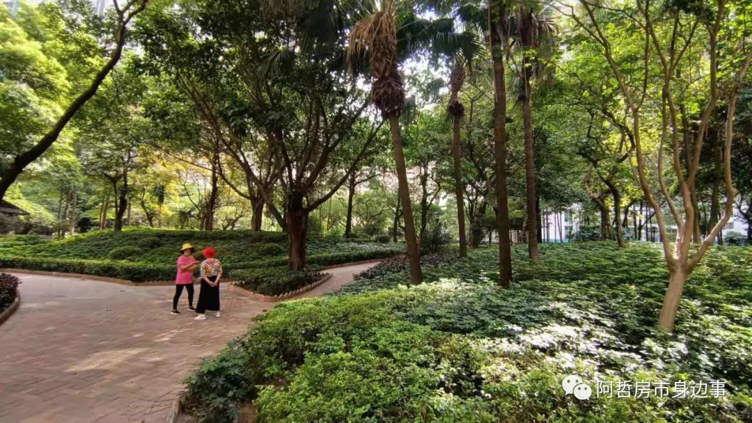 海珠区翠城花园站,海珠西板块翠城花园