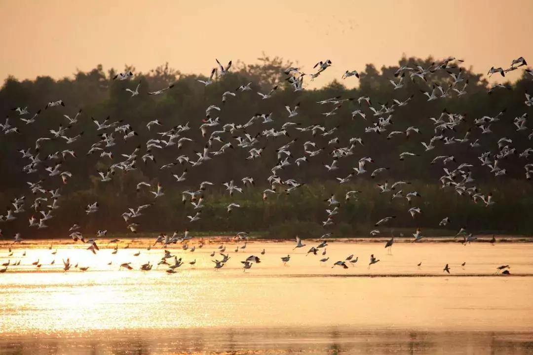 广州南沙网红打卡酒店,广州南沙花园酒店攻略