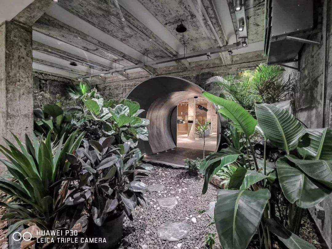 上海魔都最火网红,魔都网红打卡地