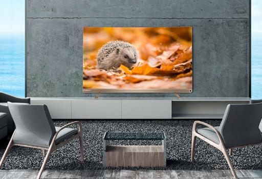 “当锦鲤，抢免单”12月8日海信超级品牌节开启