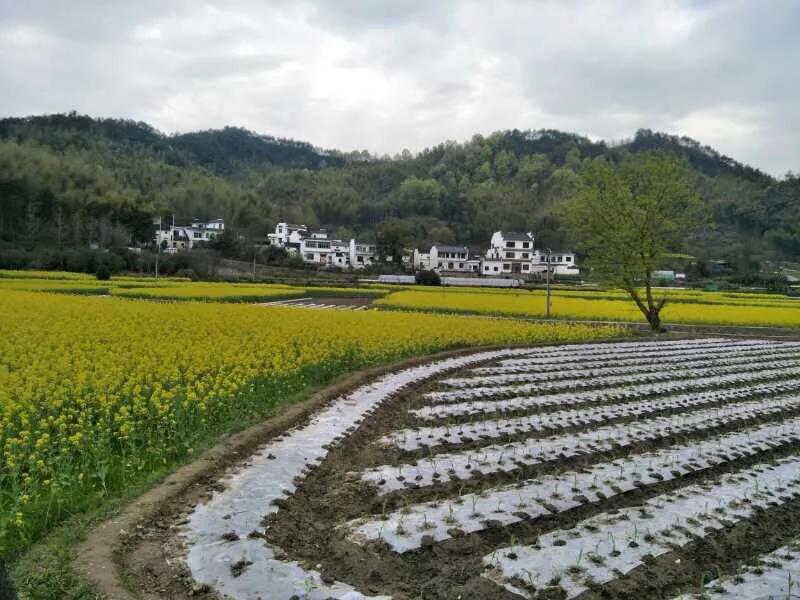 2022年世界手机摄影大赛征稿,手拍世界摄影网