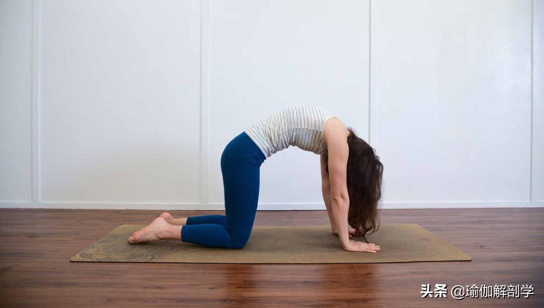 坚持瑜伽晨练励志短句,晨练运动教程瑜伽支撑