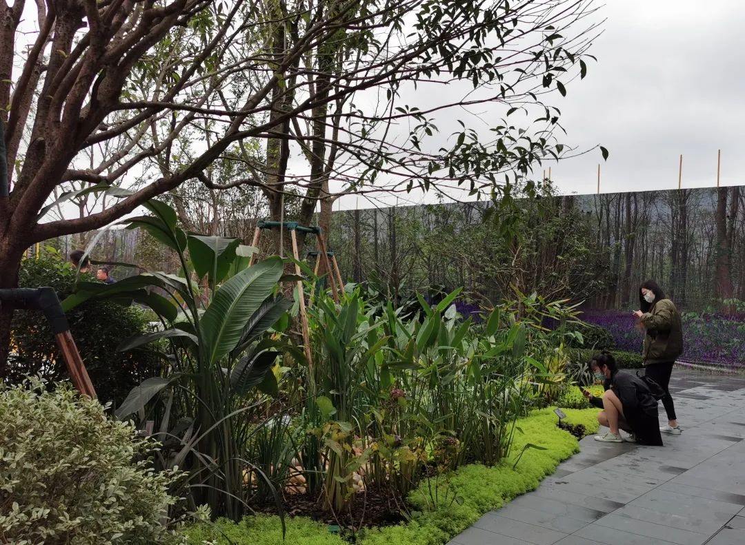 易境研学·重庆站|第一期