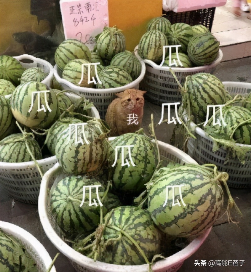 韩网言论,吐槽韩国up主