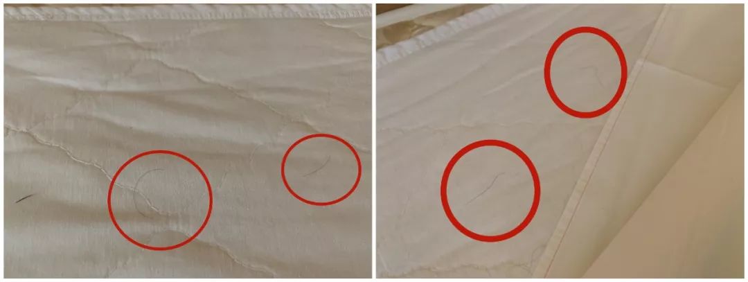 如家7天汉庭,如家7天速8