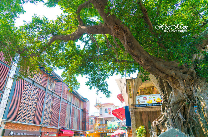 海上花园鹭岛行,海上花园鹭岛城市