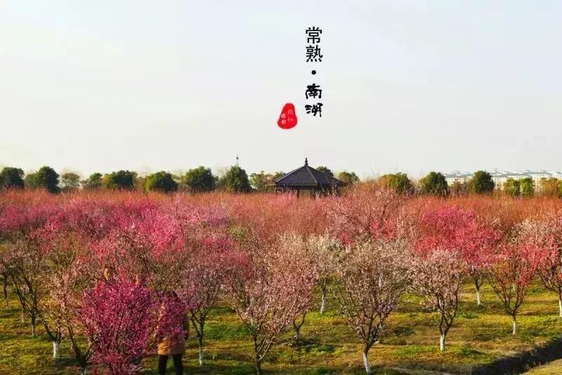 狂飙18级,狂飙18集公路飙车片段在哪