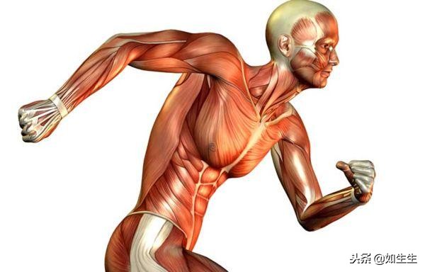 集妍堂左旋肉碱减肥,迈德来减肥左旋肉碱