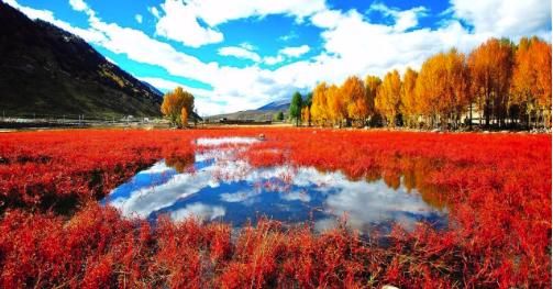 稻城亚丁风景区在哪里住宿好一点,自驾西藏稻城亚丁住宿酒店推荐